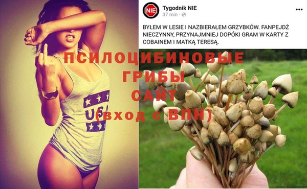 прущие крисы Балахна