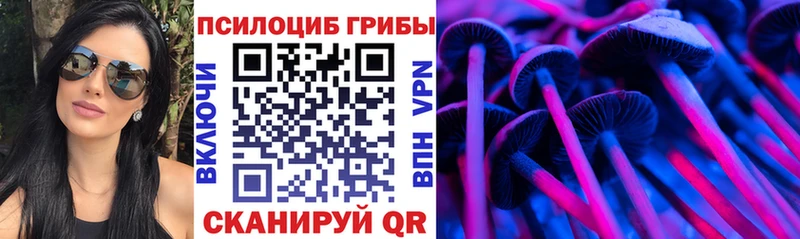 Псилоцибиновые грибы Psilocybe  Теберда 